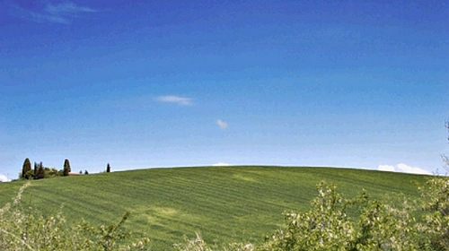 copertina pagina Facebook Topoprogram